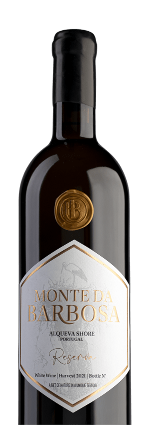 Vinho Branco
